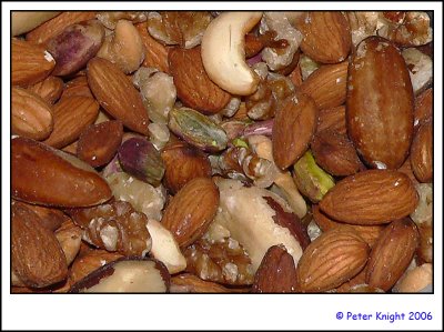 25-Aug-06 Nuts P1060147_s.jpg