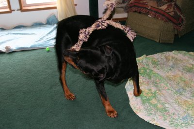 Max