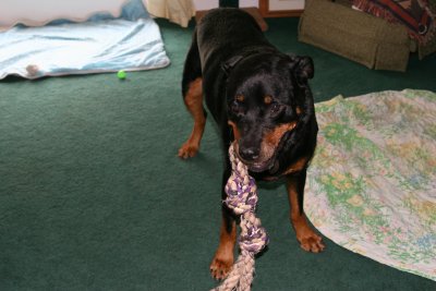 Max