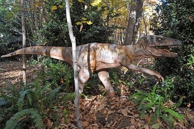 DSC_0501-s.jpg