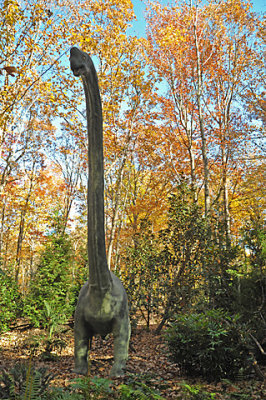 DSC_0515-s.jpg