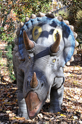 DSC_0526-s.jpg