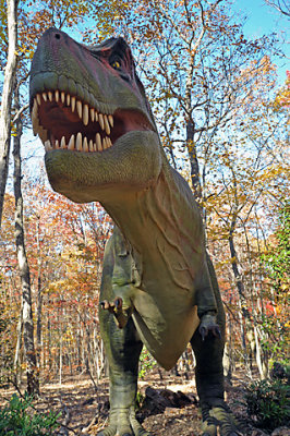 T-Rex, at the North Carolina Zoo