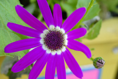 DSC_7044-s.jpg