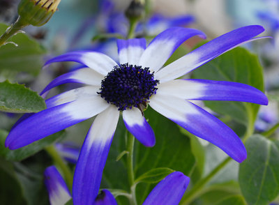 DSC_7046-s.jpg