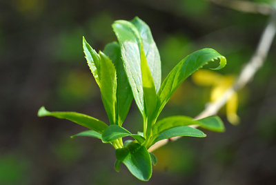DSC_7059-s.jpg