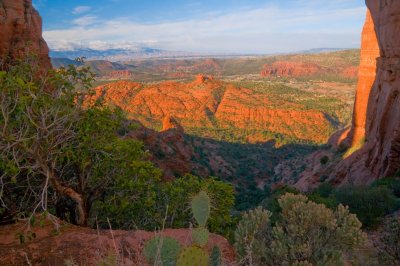 Cathedral Rock Saddle 