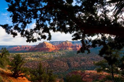 Cathedral Rock View East 