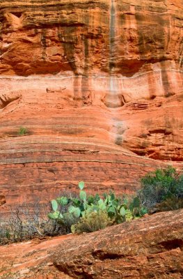 Sedona Boyton Canyon 