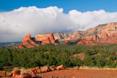 Sedona After Raining