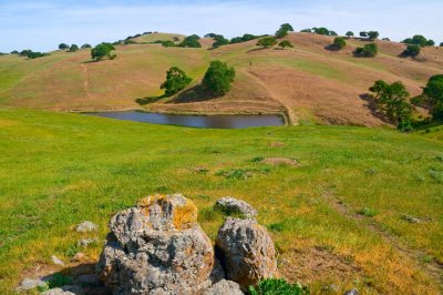 Pig Pond
