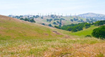 Wind Mills at Pacheco SP