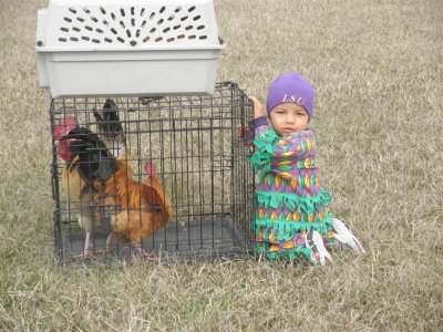 Church Point  Childrens Chicken Run