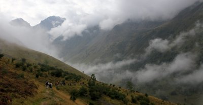 370.JPG