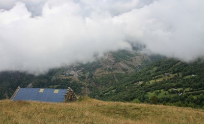 375.JPG