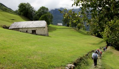 515.JPG