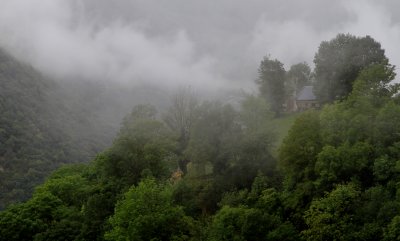 575.JPG
