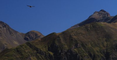 IMG_4777.JPG