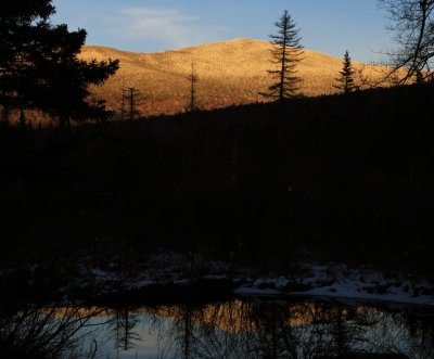  Zealand Mtn.   11/10/12