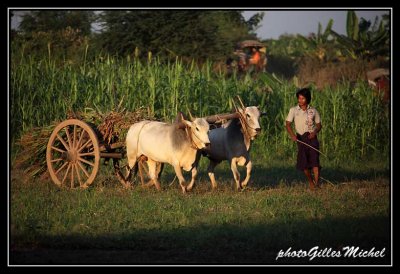 birmanie-mandalay0053.jpg