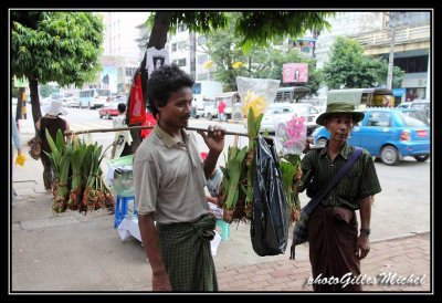 birmanie-yangoon0711.jpg