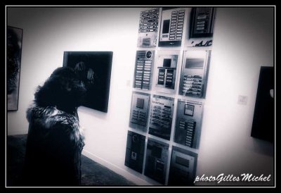 parisphot2012-064.jpg