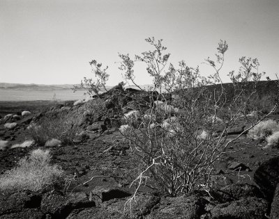 Barstow Feb 2013 - Film 11.jpg