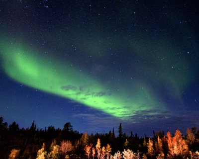 Northern Lights,Pontoon Lake