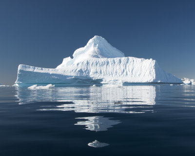 Ice Berg on way to Portal Point