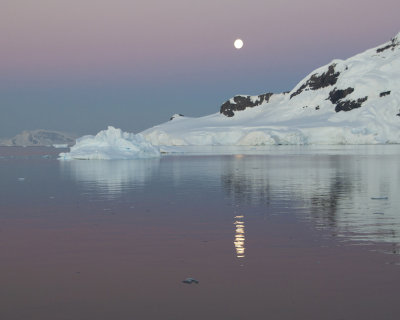 Midnight colours and full moon sailing the Gerlache Strait