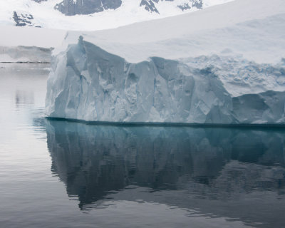 Danco Island Iceberg