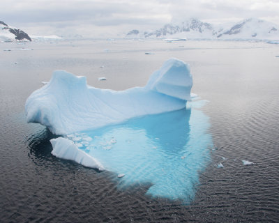 Blue Iceberg 3 near Paradies Bay