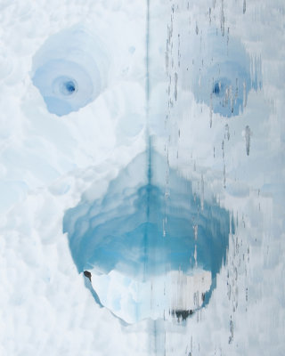 Ice Face