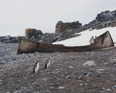 Old Whaling Boat on Half Moon Island