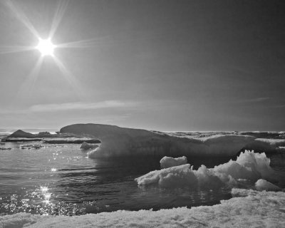 Sparkling Icebergs