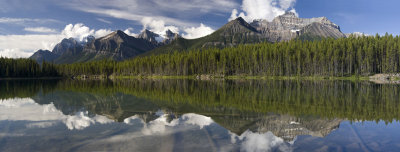 Herbert Lake Reflections