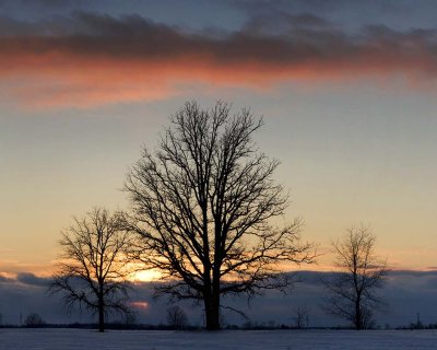 Winter Sunset