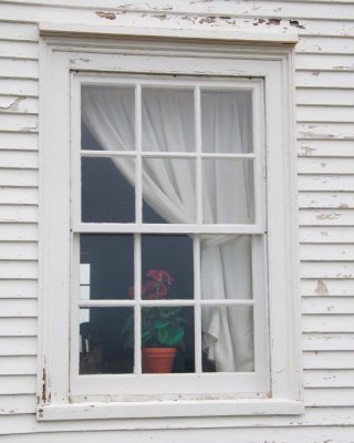 Cape Spear Window