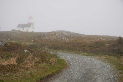 Foggy Road to Ferryland Lighthouse