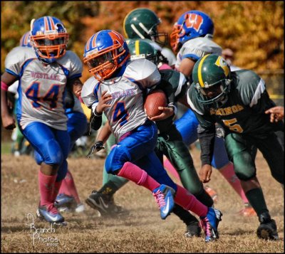 fball 2012 doneDSC_3757.jpg