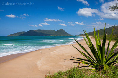 Praia-Armacao-Florianopolis-120423-0419.jpg