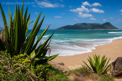 Praia-Armacao-Florianopolis-120423-0428.jpg