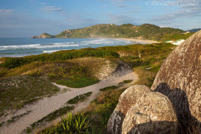 Praia-Mole-Florianopolis-120423-0374.jpg