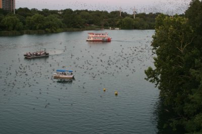 IMG_9146.jpg