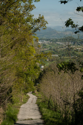 Path down the Mt. Igeldo