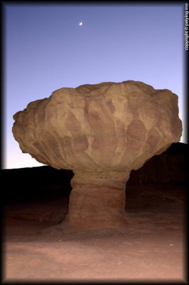 Moonrise over the Mushroom rock, Timna Park