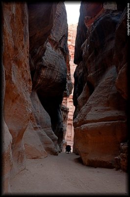 _DSC5472.jpg