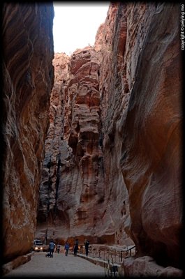 _DSC5481.jpg