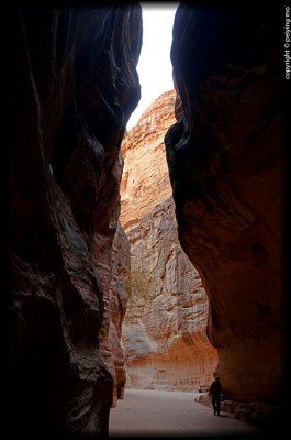 _DSC5501.jpg