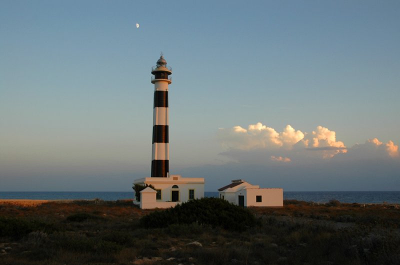 Cap dArtrutx